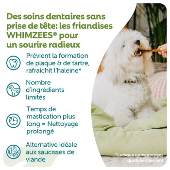 Chien blanc et duveteux mâchant une friandise à côté d'un texte publicitaire français : 'Des soins dentaires... WHIMZEES® pour un sourire radieux'
