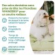 Chien blanc et duveteux mâchant une friandise à côté d'un texte publicitaire français : 'Des soins dentaires... WHIMZEES® pour un sourire radieux'