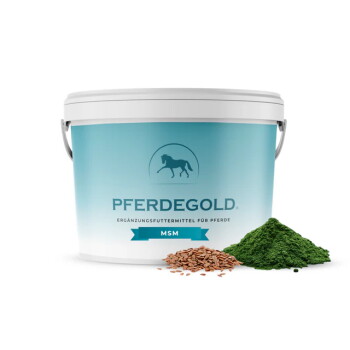 Weißer Eimer mit der Aufschrift 'PFERDEGOLD – Ergänzungsfuttermittel für Pferde', MSM, Pferdelogo; Haufen von Samen und grünem Pulver.
