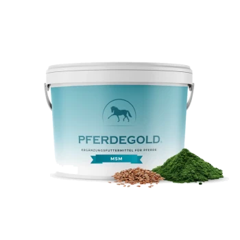 Weißer Eimer mit der Aufschrift 'PFERDEGOLD – Ergänzungsfuttermittel für Pferde', MSM, Pferdelogo; Haufen von Samen und grünem Pulver.