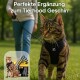 Eine getigerte Katze in einem schwarzen Geschirr läuft auf Gras, während eine Person eine Leine von hinten hält. Text: "Perfekte Ergänzung zum Tierhood Geschirr."