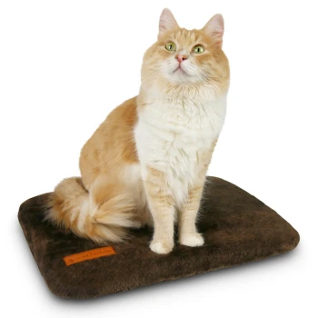 Eine flauschige orange-weiße Katze sitzt auf einem braunen Haustierbett und schaut mit leuchtend grünen Augen nach oben. Das Bett hat ein kleines oranges Etikett.