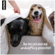 Ein schwarzer Labrador und ein nasser Corgi sitzen glücklich in einer mit Handtüchern bedeckten Badewanne. Text: "Das hat sich doch mal ordentlich gewaschen!"