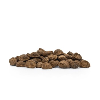 Ein Haufen dunkeloranger Haustierfutterkibble, mit verschiedenen runden und ovalen Formen, vor einem weißen Hintergrund.