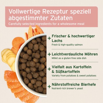 AniForte einzigartiges weiches Haustierfutter, mit runden braunen Kroketten, mit Text, der die spezielle Produktion zur Nährstoffretention und Feuchtigkeit hervorhebt.