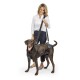 CareLift Hebegeschirr für Hunde blau/ grau L