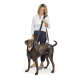 Eine Frau in einem weißen Hemd und dunklen Hosen steht mit einem braunen Labrador Retriever, der ein blaues Geschirr und eine Leine trägt.