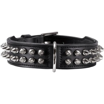Schwarzes Lederhalsband für Hunde, verziert mit silbernen Spitzen und Nieten, mit einer Metallschnalle und D-Ring zur Leinenbefestigung.