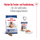 Royal Canin Hundefutterverpackung mit Trockenfutter für große Hunde ab 8 Jahren, mit einer Dose Nassfutter und einem Teller mit Fleisch.