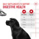 A black dog gazes at a hand holding a supplement, with text about digestive health and a chart for daily dosage by weight.