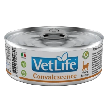 Dosenkatzenfutter mit der Aufschrift "VetLife Convalescence", mit einer silbernen Dose mit einem Ziehdeckel, entworfen für die Ernährung von Katzen.