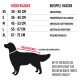 Bademantel für Hunde S