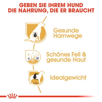 Bild, das die Vorteile von Hundefutter bewirbt, mit einem Hundesymbol und Text auf Deutsch: "Gesunde Harnwege", "Schönes Fell & gesunde Haut", "Idealgewicht."