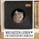 Eine flauschige graue Katze mit grünen Augen schaut aus einem schwarzen Filzversteck, mit Text darunter: "WAS KATZEN LIEBEN ♥ EIN VERSTECK MIT AUSBLICK."