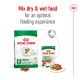 Royal Canin mini ageing 12+ dry food bag and wet food pouch, promoting optimal feeding experience with a mix of both.