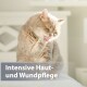 Beige Katze leckt sich die Pfote auf einem Bett, überlagernder Text: 'Intensive Haut- und Wundpflege'.