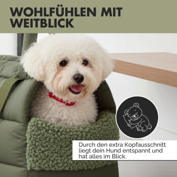 Kleiner weißer Hund mit rotem Halsband ruht in grünem Haustierbett, Text auf Deutsch über Komfort und Sichtbarkeit für Hunde.