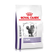 Royal Canin Expert Calm Katzenfutterbeutel mit einer Illustration einer grauen getigerten Katze, mit 'EXPERT' und 'CALM' deutlich angezeigt.