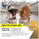Eine Katze und ein Hund teilen sich eine Schüssel, mit Textüberlagerung: "Hunde 10 Tropfen/Tag pro 5 kg; Katzen 5 Tropfen/Tag pro 5 kg."