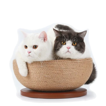 Zwei Katzen, eine weiße und eine schwarz-weiße, sitzen zusammen in einem runden Katzenbett aus Naturfasern mit einem Holzsockel.