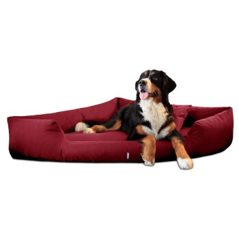 TRIVIA orthopädisches Hundebett dunkelrot 1 m, 25 cm, 1 m