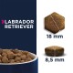 Breed Specific Labrador Retriever 12 kg