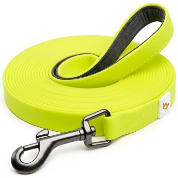 Helle gelbe Hundeleine mit einem schwarzen Metallclip und einem gepolsterten Griff, ordentlich auf einem weißen Hintergrund gewickelt.