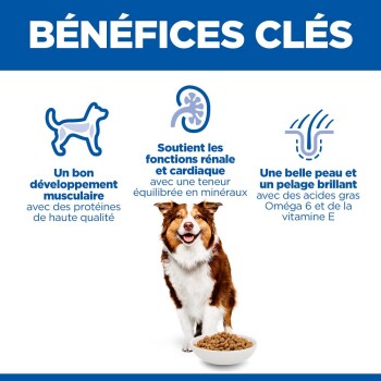 Chien avec une gamelle de croquettes sous le titre «BÉNÉFICES CLÉS» et trois icônes avec légendes d'avantages en français.