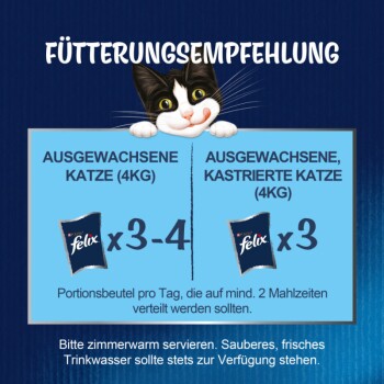 Verspieltes Katzenbild mit Felix-Fütterungsempfehlungen: 3-4 Beutel täglich für nicht kastrierte, 3 für kastrierte Katzen. Bei Zimmertemperatur servieren.