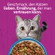 Grau-getigerte Katze mit großen Augen hinter einer blauen Schale mit Trockenfutter auf violettem Hintergrund; deutscher Text: „Geschmack, den Katzen lieben.“