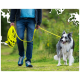 Eine Person, die einen glücklichen, flauschigen Border Collie an einer leuchtend orangefarbenen Leine in einer grünen Umgebung führt.