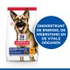 Hondenvoer zak met een lachende Duitse herder, gelabeld 'Hill's Science Plan Mature Adult 6+ Large 25 kg', met nadruk op energie en gezondheidssteun.