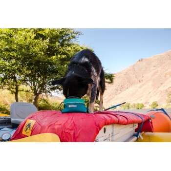 Ein schwarz-weißer Hund steht auf einem roten Floß und schnüffelt an einer türkisfarbenen Tasche mit der Aufschrift "Ruff Wear." Der Hintergrund zeigt Bäume und Berge.