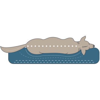 Orthopädisches Hundekissen Merida taupe XL