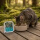 Chat tigré buvant dans un bol beige sur une terrasse en bois en extérieur, à côté d'un plateau de nourriture pour chats adultes Wilderness Fresh Water.