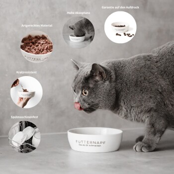 Fütterungsbereich für Haustiere mit zwei weißen Schalen, die mit "FUTTERNAPF" (Futter) und "WASSERNAPF" (Wasser) auf einem hellen Teppich über einem gemusterten Boden beschriftet sind.