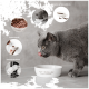 Fütterungsbereich für Haustiere mit zwei weißen Schalen, die mit "FUTTERNAPF" (Futter) und "WASSERNAPF" (Wasser) auf einem hellen Teppich über einem gemusterten Boden beschriftet sind.