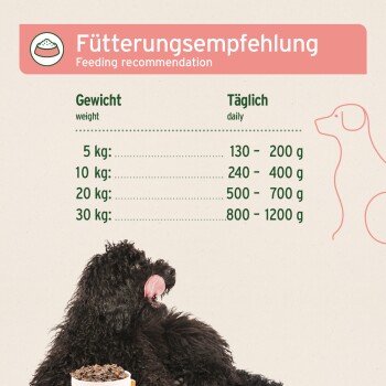 Ein brauner Hund steht im Freien mit einem bewölkten Himmel im Hintergrund. Der Text lautet 'Für Hunde' und gibt Fütterungsempfehlungen basierend auf dem Gewicht.