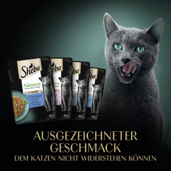 Eine graue Katze leckt sich die Lippen vor Sheba Thunfisch- und Gemüsebeuteln. Text: "Ausgezeichneter Geschmack, dem Katzen nicht widerstehen können."