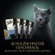 Eine graue Katze leckt sich die Lippen vor Sheba Thunfisch- und Gemüsebeuteln. Text: "Ausgezeichneter Geschmack, dem Katzen nicht widerstehen können."