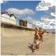 Ein glücklicher braun-weißer Hund läuft entlang einer Strandpromenade und hält einen orange-blauen Ball im Mund, mit bunten Strandhütten im Hintergrund.