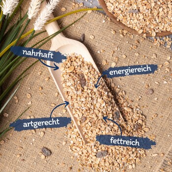 Eine Holzschaufel mit Haustierfutterkörnern auf Jute, mit verstreuten Körnern und Etiketten: "nahrhaft," "energiereich," "artgerecht," "fettreich."