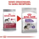 Porównanie opakowań karmy dla psów Royal Canin, z "Sterilised Medium" dla dorosłych psów, podkreślające nowe opakowanie i roszczenia żywieniowe.