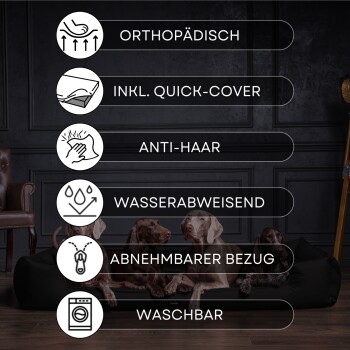 Ein stilvolles graues Tierbett mit erhöhten Rändern und einem kleinen Kissen, mit einem schwarzen Etikett mit dem Markennamen 'tierlando.'