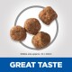 Four pieces of pet kibble, approximately 12mm in size, displayed on a light background with the text "GREAT TASTE" below.