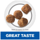 Four pieces of pet kibble, approximately 12mm in size, displayed on a light background with the text "GREAT TASTE" below.
