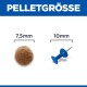 Pellet-Größenvergleich mit einem 7,5 mm braunen Haustierfutter-Pellet neben einer 10 mm blauen Reißzwecke.