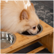 Ein flauschiger, cremefarbener Pomeranian-Hund frisst aus einer Edelstahlschüssel auf einem Bambus-Haustierfütterungsständer, mit einer weiteren leeren Schüssel daneben.
