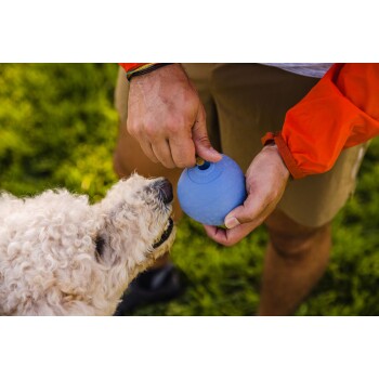 Eine Person in einer orangefarbenen Jacke hält ein blaues Hundespielzeug, während ein lockiger Hund gespannt zu ihm aufblickt, vor einem grünen Hintergrund.