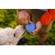 Eine Person in einer orangefarbenen Jacke hält ein blaues Hundespielzeug, während ein lockiger Hund gespannt zu ihm aufblickt, vor einem grünen Hintergrund.